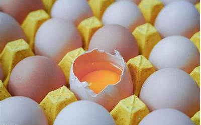 真的想问：鸡蛋一天到底吃几个最健康？